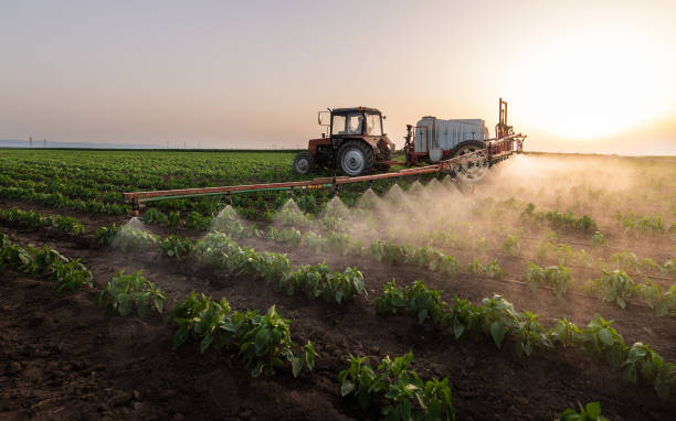 Best Pest Prevention Services  in Kent Acres, DE