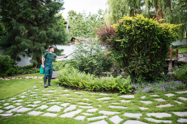 Best Emergency Pest Control  in Kent Acres, DE